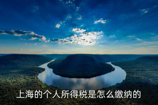 上海個人所得稅如何繳納，上海個人所得稅的繳納急