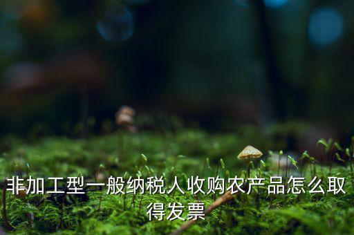 農(nóng)產(chǎn)品收購(gòu)發(fā)票如何，農(nóng)產(chǎn)品收購(gòu)發(fā)票如何開