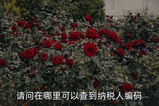 教您如何查詢納稅人代碼，忘記稅務(wù)征收機(jī)關(guān)代碼