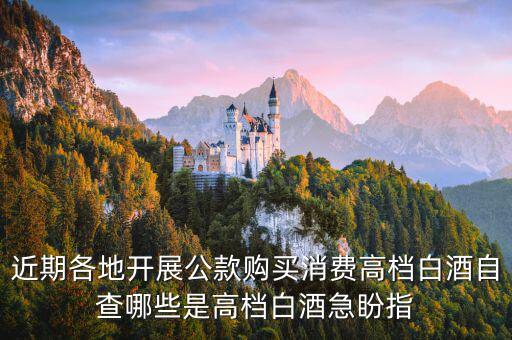 稅局如何排查高檔白酒，公款禁買高檔酒可行嗎能實施成功嗎