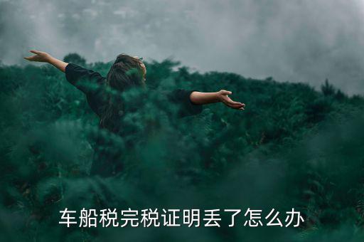 車船稅如何打完稅證明，2016上海開(kāi)車船稅完稅證明只能到第三稅務(wù)局去開(kāi)么