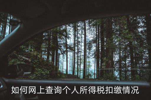 如何網(wǎng)上查詢(xún)個(gè)人所得稅扣繳情況