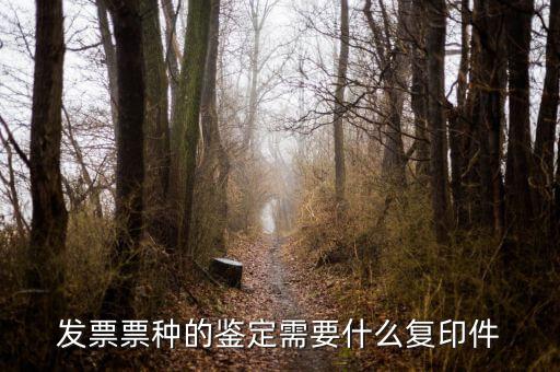 如何做票種認(rèn)定，如何申請發(fā)票票種