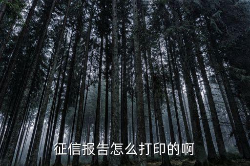 如何打印納稅信用等級(jí)，征信報(bào)告怎么打印的啊