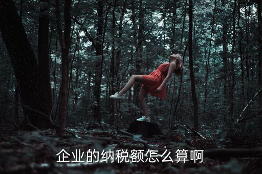 企業(yè)納稅如何計(jì)算，企業(yè)的納稅額怎么算啊