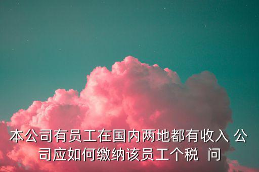 公司內(nèi)部應(yīng)該如何制定個(gè)稅繳納制度，企業(yè)工資項(xiàng)目構(gòu)成以及交納個(gè)人所得稅的方法