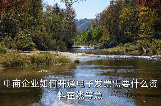 電子發(fā)票如何申領(lǐng)，京東電子發(fā)票如何獲取