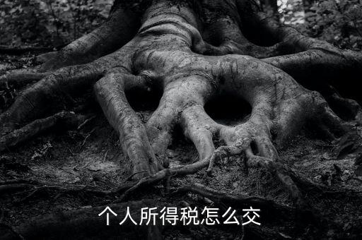 個(gè)人所得稅如何繳納，個(gè)人所得稅怎么繳納