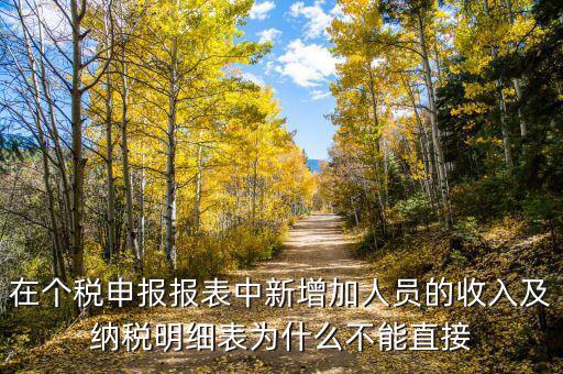 個稅申報如何增加新納稅人，在個稅申報報表中新增加人員的收入及納稅明細(xì)表為什么不能直接