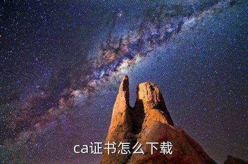 如何下載國(guó)稅ca證書，ca證書怎么下載