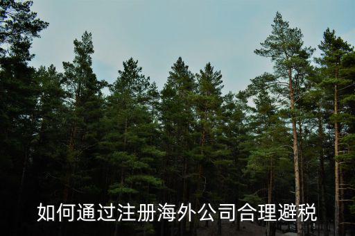 在境外注冊(cè)子公司如何避所得稅，離岸公司如何避個(gè)稅