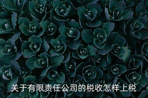有限責(zé)任公司如何繳稅，有限責(zé)任公司是如何納稅的要繳納的稅種都有哪些
