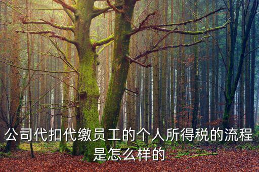 如何代扣代繳個人所得稅，代扣代繳個人所得稅