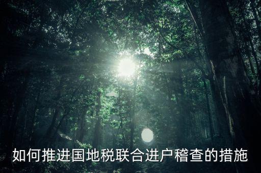 如何推進國地稅聯合進戶稽查的措施