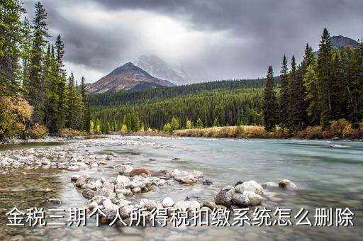 金稅三期個(gè)稅如何卸載，金稅三期個(gè)人所得稅扣繳系統(tǒng)怎么刪除