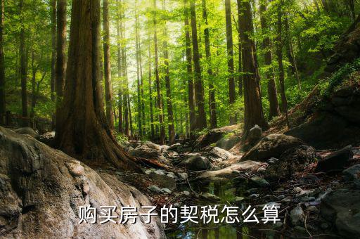 如何省契稅，契稅怎么算