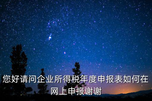 公司如何網(wǎng)絡(luò)申報(bào)表，新手請教企業(yè)所得稅年度納稅申報(bào)表在網(wǎng)上如何申報(bào)