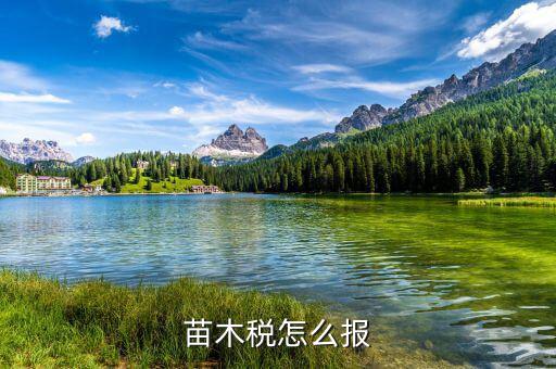 苗木增值稅免稅如何申報(bào)，苗木稅怎么報(bào)