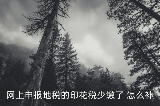 少繳地稅如何處理，不交地稅會怎么處理
