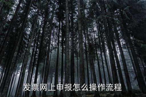 如何國稅局網(wǎng)上申請開票，如何登錄稅務(wù)網(wǎng)上開票