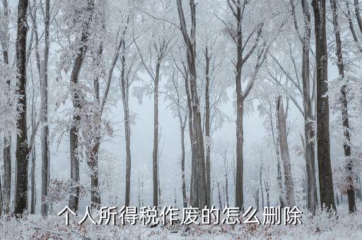 如何刪除已審核的地稅報(bào)表，已遞上的地稅網(wǎng)上財(cái)務(wù)報(bào)表系統(tǒng)的報(bào)表能否刪除