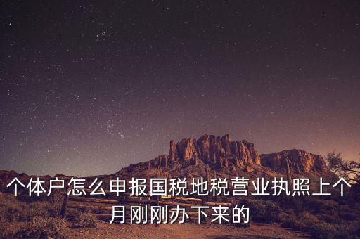 個(gè)體定額如何申報(bào)國(guó)稅，個(gè)體戶如何申報(bào)國(guó)稅和地稅