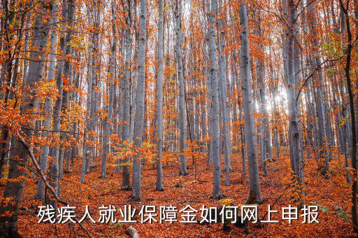 安徽殘疾人保障金如何網(wǎng)上申報，殘疾人就業(yè)保障金如何網(wǎng)上申報
