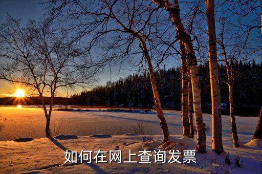 如何查詢網(wǎng)絡(luò)發(fā)票，怎樣從網(wǎng)上報(bào)稅系統(tǒng)查已開的發(fā)票
