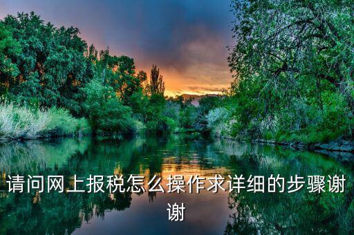 如何指引納稅人使用網(wǎng)上稅務(wù)局，請問網(wǎng)上報稅怎么操作求詳細的步驟謝謝