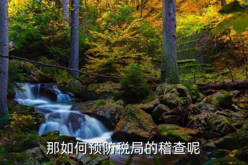 如何逃避稽查局查賬，如何應(yīng)對(duì)稅務(wù)稽查查賬老板把責(zé)任推倒會(huì)計(jì)身上