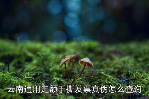 云南定額發(fā)票如何查詢系統(tǒng)，云南通用定額手撕發(fā)票真?zhèn)卧趺床樵?/></a></span><span id=