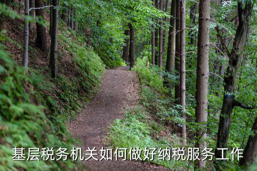 基層稅務(wù)機(jī)關(guān)如何適應(yīng)稅收現(xiàn)代化，基層稅務(wù)機(jī)關(guān)如何做好納稅服務(wù)工作