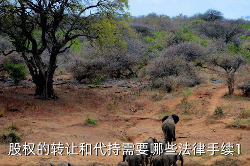 轉(zhuǎn)讓代持股如何轉(zhuǎn)讓，代持股可以轉(zhuǎn)賣嗎