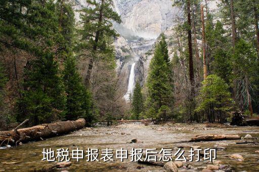 網(wǎng)上如何打印地稅報表，地稅新網(wǎng)上申報系統(tǒng)怎么打印報表呀