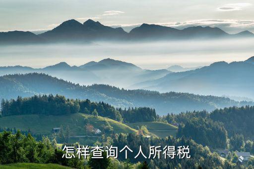 個人所得稅如何查詢 河南，怎么查詢個人所得稅