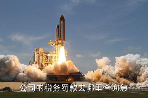如何查稅收罰款，公司的稅務(wù)罰款去哪里查詢急