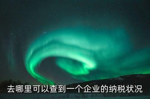 企業(yè)在哪納稅如何查，去哪里可以查到一個(gè)企業(yè)的納稅狀況