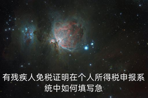 殘疾人個(gè)稅如何申報(bào)，有殘疾人免稅證明在個(gè)人所得稅申報(bào)系統(tǒng)中如何填寫急