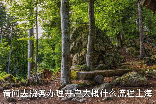 如何辦理稅務(wù)開(kāi)戶，請(qǐng)問(wèn)去稅務(wù)辦理開(kāi)戶大概什么流程上海