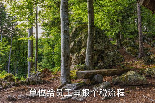 江蘇職工個稅如何申報，申報個稅的流程怎么操作
