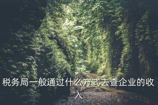 稅務如何統(tǒng)計收入，小規(guī)模增值稅季報在哪里統(tǒng)計收入