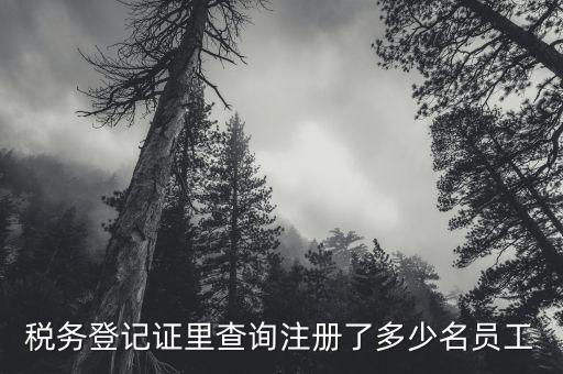 如何查詢公司辦稅人有誰，稅務登記證里查詢注冊了多少名員工