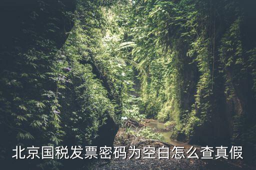 北京國(guó)稅發(fā)票真?zhèn)稳绾尾樵?，北京?guó)稅發(fā)票密碼為空白怎么查真假