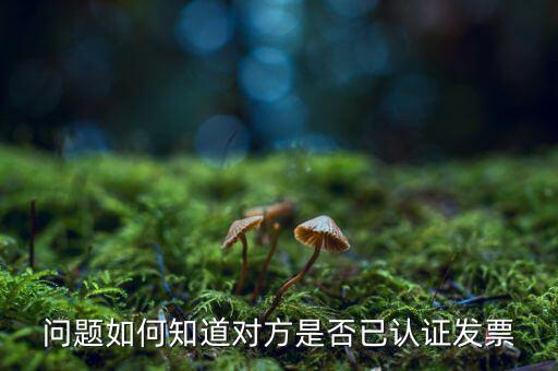 如何查對(duì)方是認(rèn)證發(fā)票嗎，怎么查自己開(kāi)的發(fā)票對(duì)方有沒(méi)有認(rèn)證