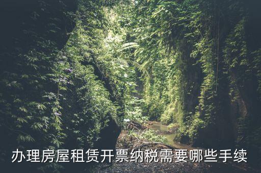 租房如何開增值稅專票，房屋租賃可以開增值稅專用發(fā)票嗎
