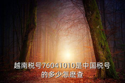 中國如何查個人稅號，越南稅號76041010是中國稅號的多少怎麼查