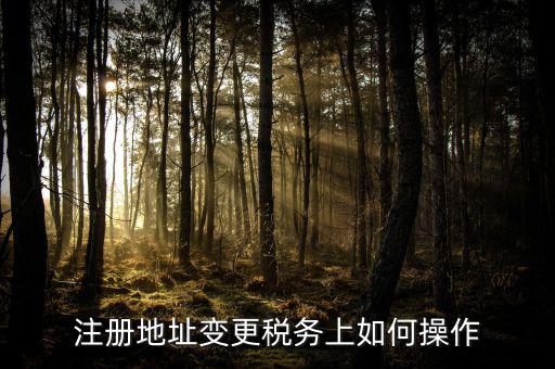 稅務(wù)官網(wǎng)地址如何變更，注冊(cè)地址變更稅務(wù)上如何操作