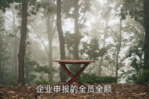 如何做好全員全額申報(bào)工作，報(bào)地稅里面的全員申報(bào)是怎么