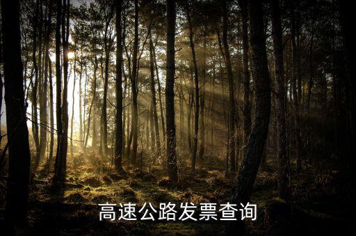 如何知道道路發(fā)票幾級(jí)，汽車的增值稅發(fā)票怎么看