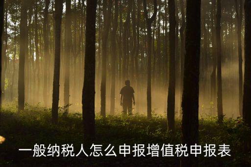增值一般納稅人國(guó)稅如何申報(bào)，一般納稅人怎么申報(bào)增值稅申報(bào)表
